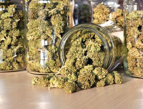 Cannabisblüten in ein paar Glasflaschen verpackt