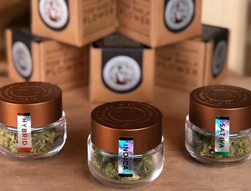 drei Flaschen mit Cannabisprodukten vor fünf Kartons