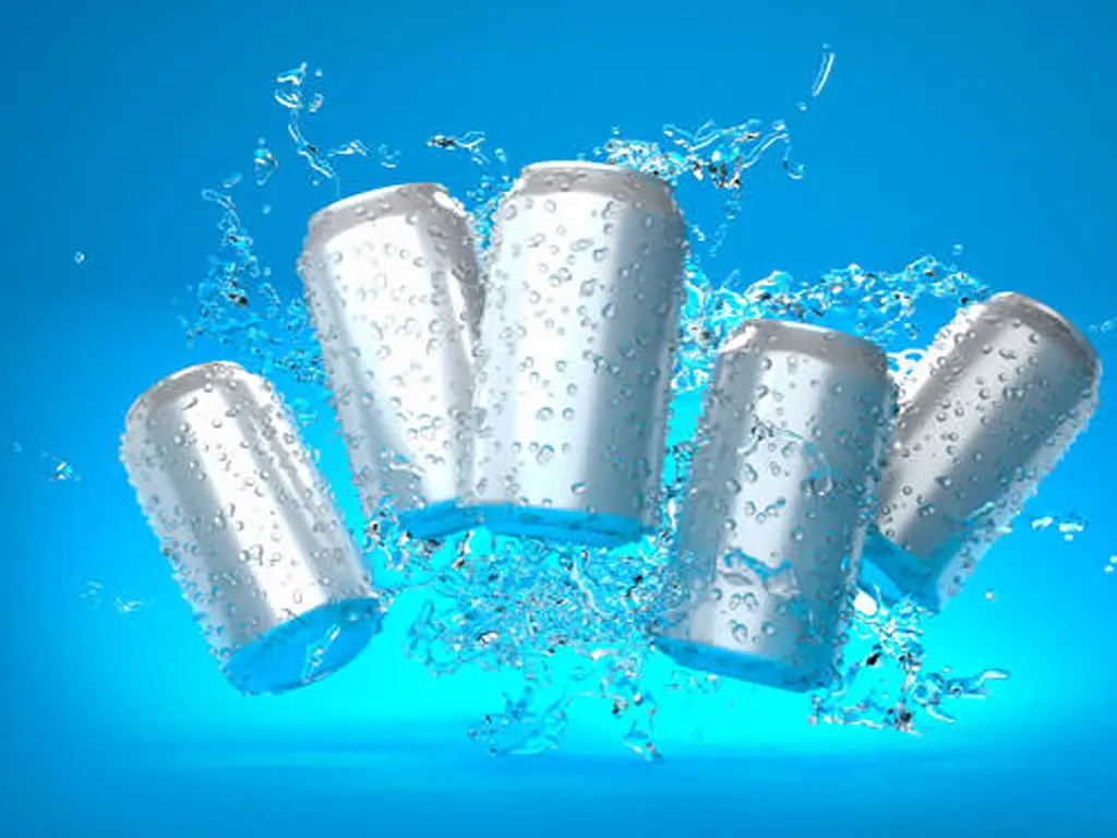 beverage can sizes